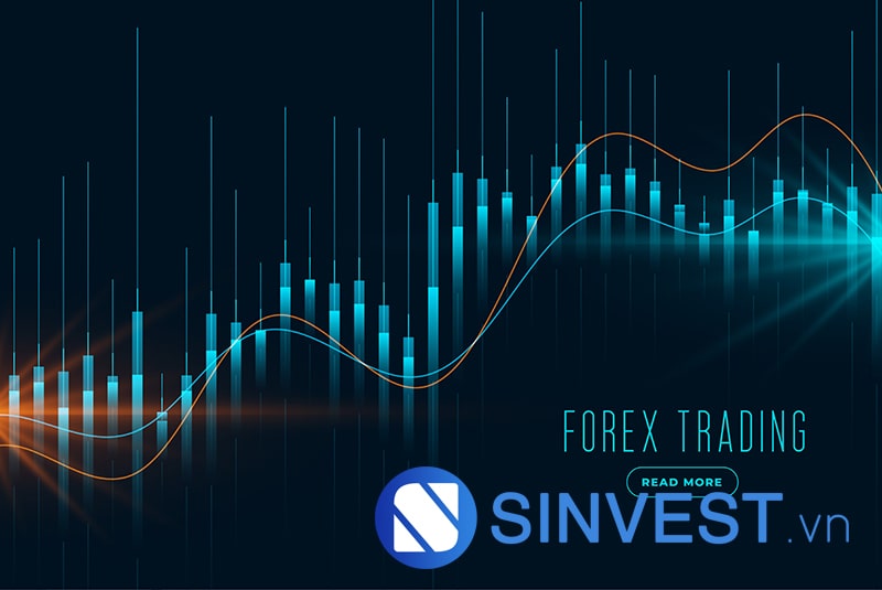 trader trên thị trường forex là gì